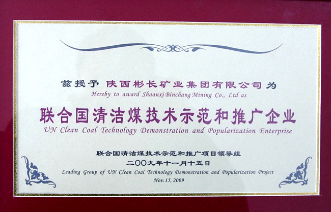 联合国清洁煤手艺树模和推广企业.JPG