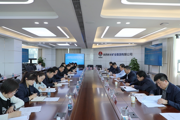 3月11日 中心组钻研(1)_副本.jpg