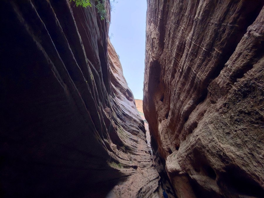 1729731485525476.jpg